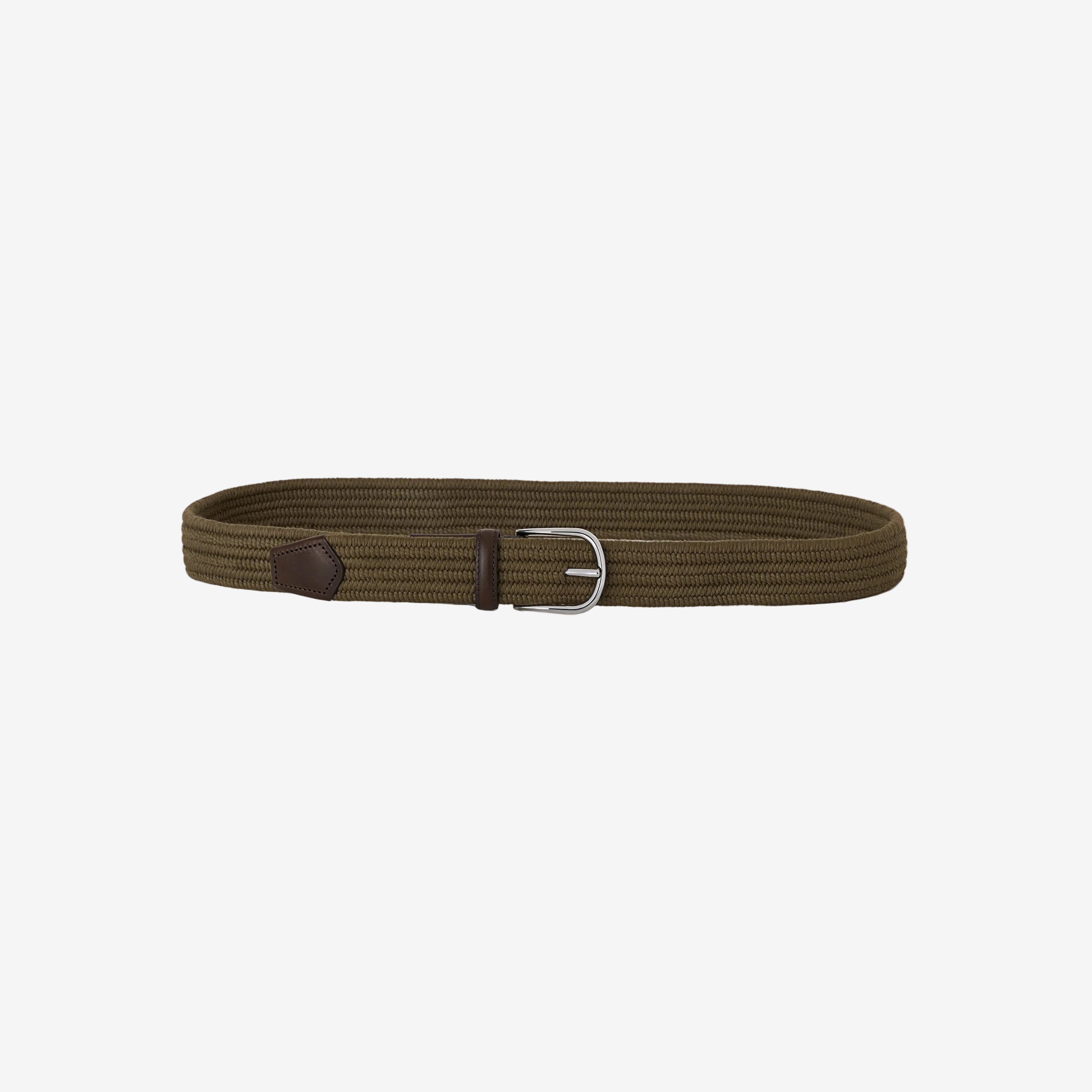 Elastic Brown Signature Belt