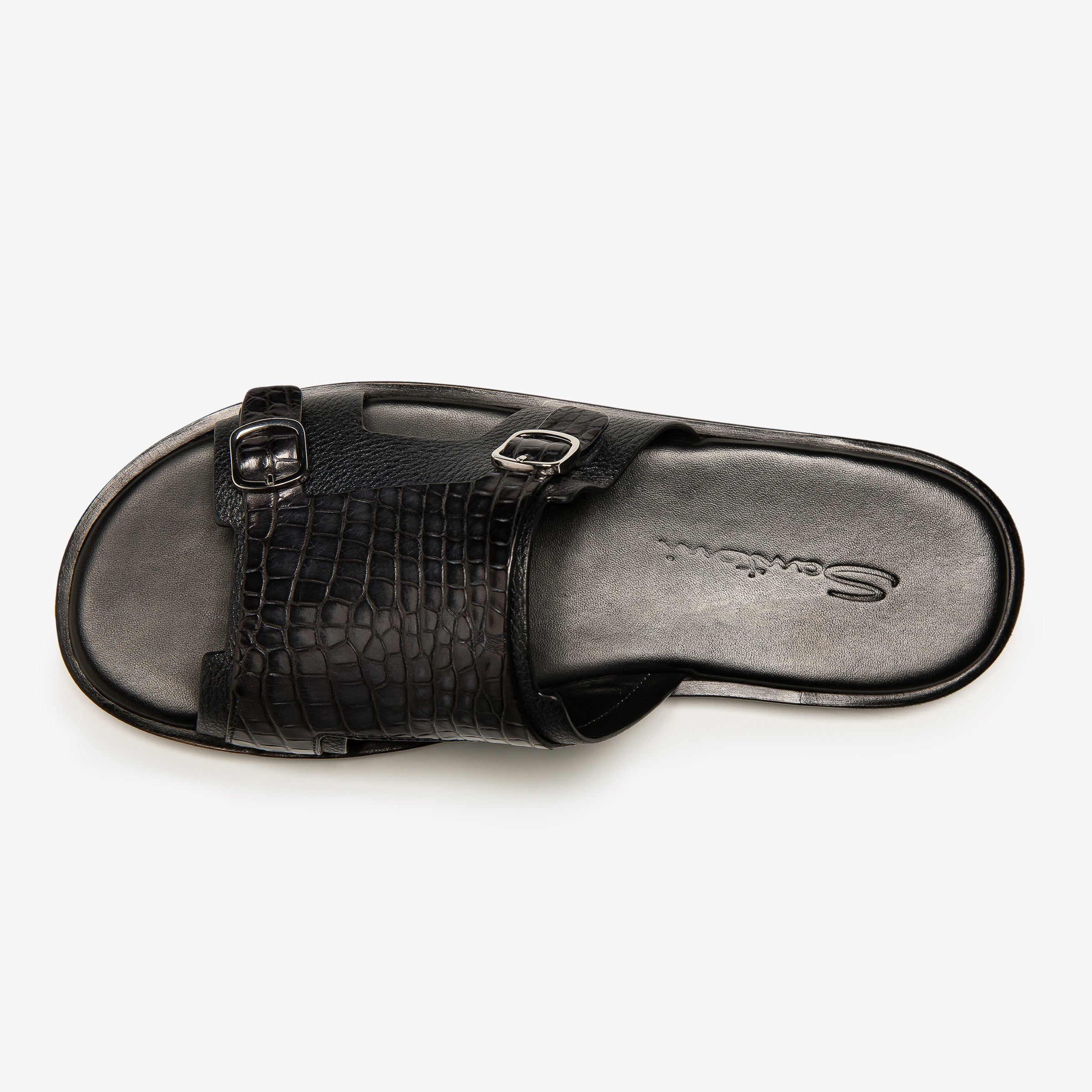 Dark Blue Alligator Slides
