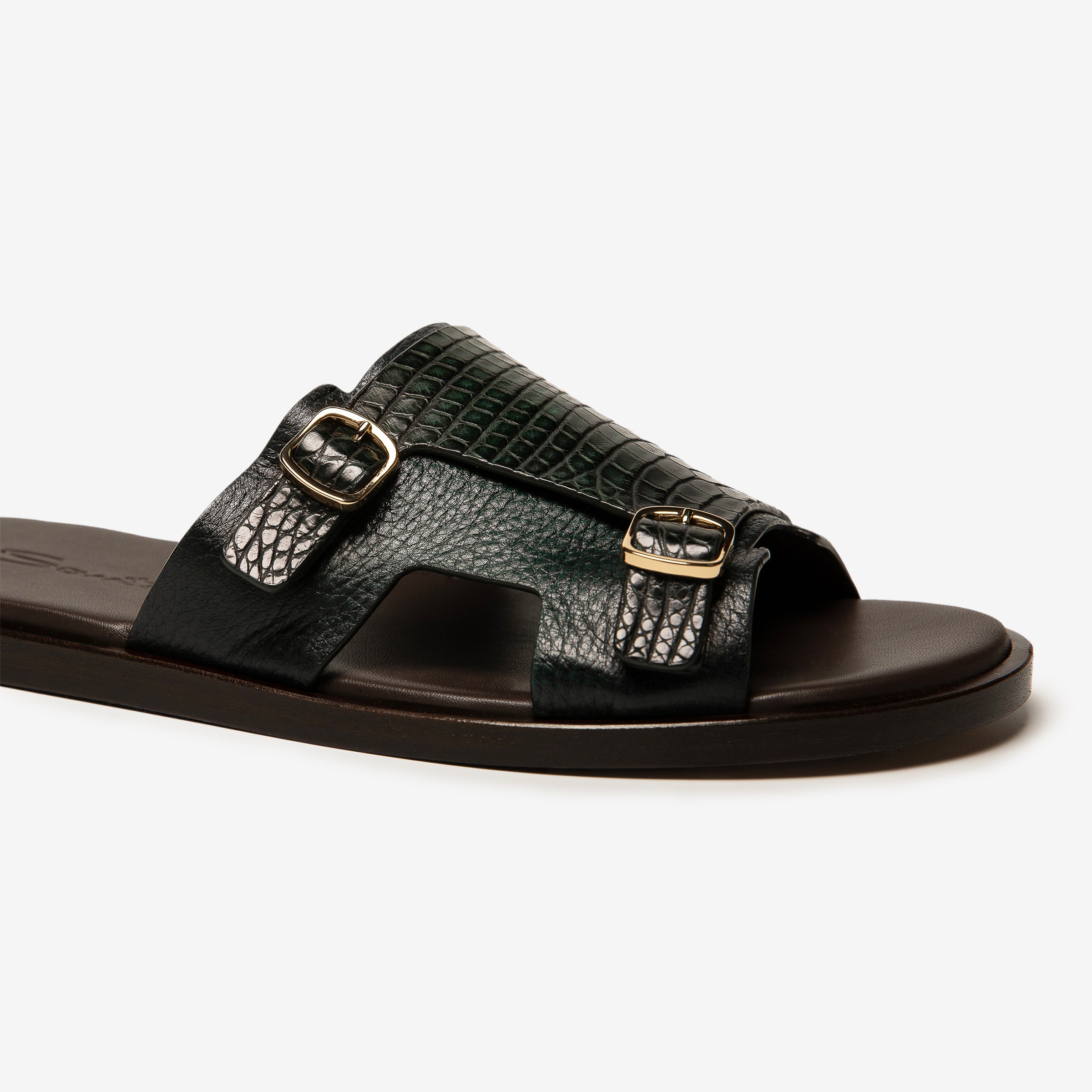 Dunkelgrüne Alligator-Rutschen