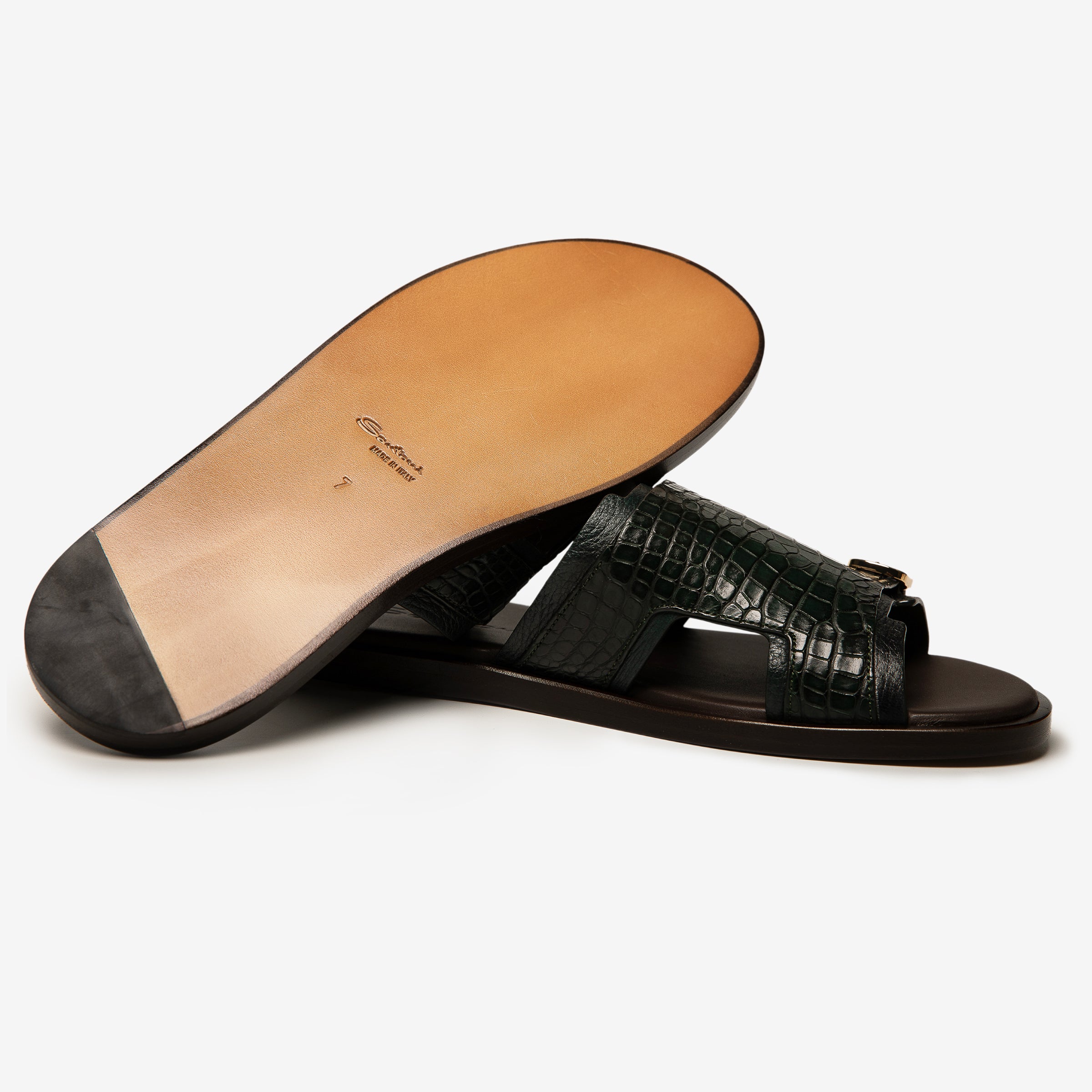 Dunkelgrüne Alligator-Rutschen