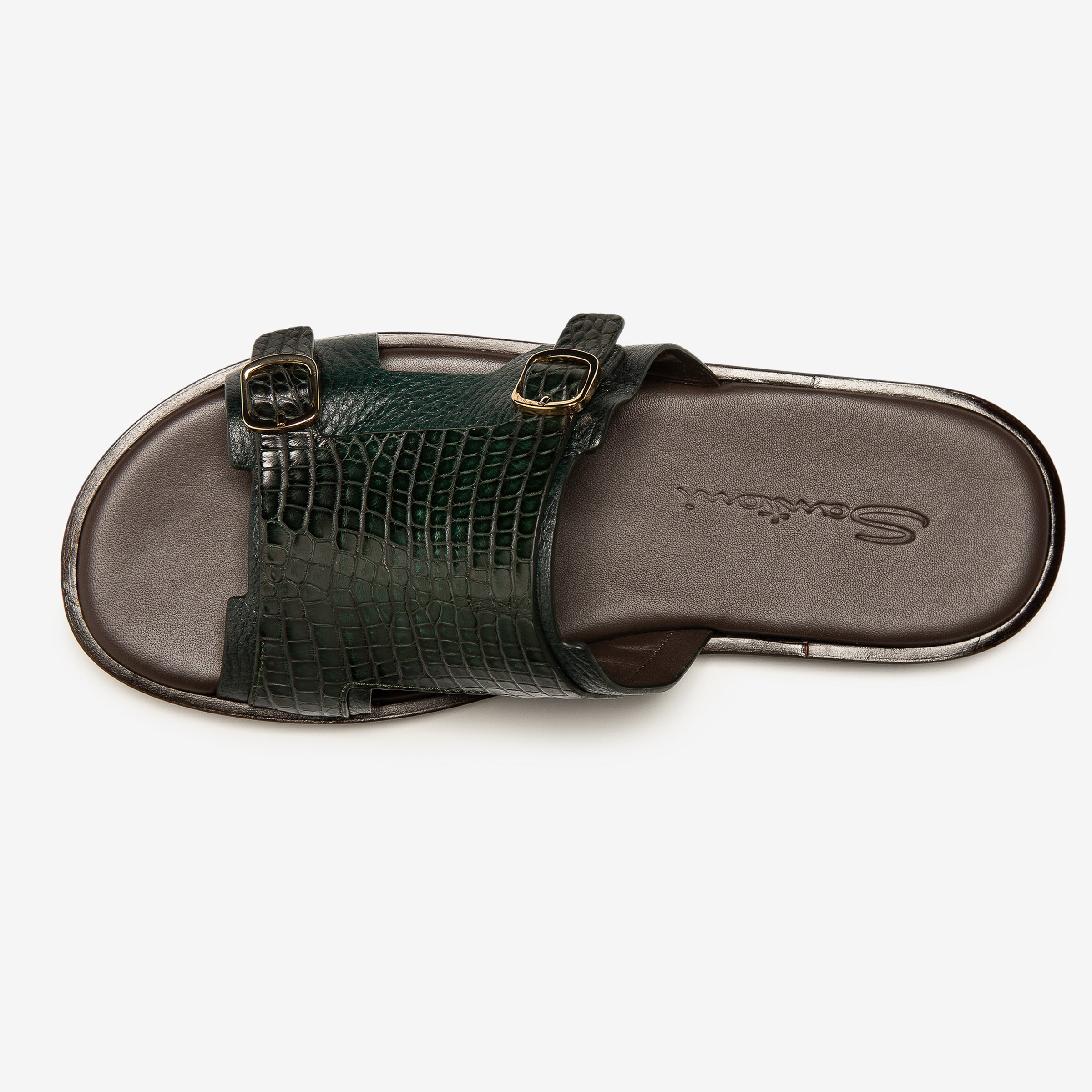 Dunkelgrüne Alligator-Rutschen